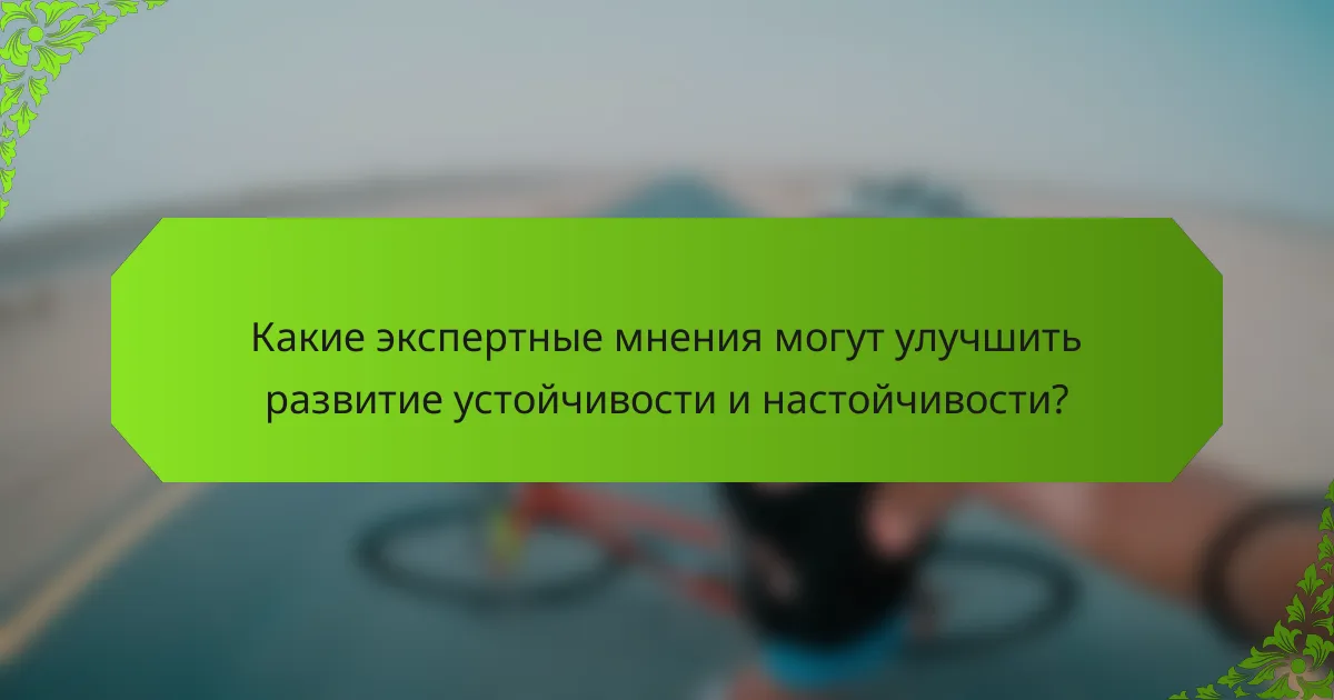 Какие экспертные мнения могут улучшить развитие устойчивости и настойчивости?