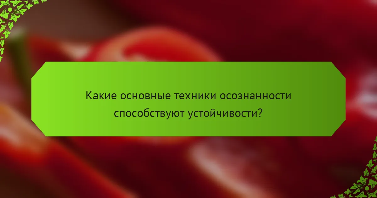 Какие основные техники осознанности способствуют устойчивости?
