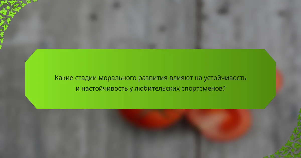 Какие стадии морального развития влияют на устойчивость и настойчивость у любительских спортсменов?
