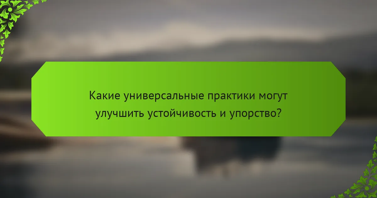 Какие универсальные практики могут улучшить устойчивость и упорство?
