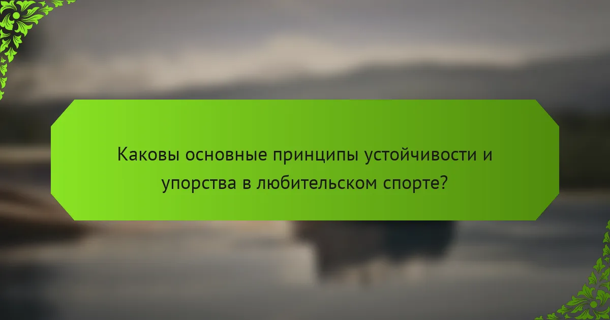 Каковы основные принципы устойчивости и упорства в любительском спорте?