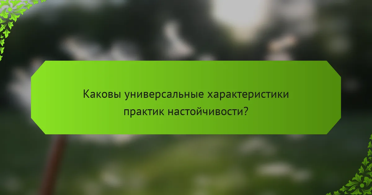 Каковы универсальные характеристики практик настойчивости?