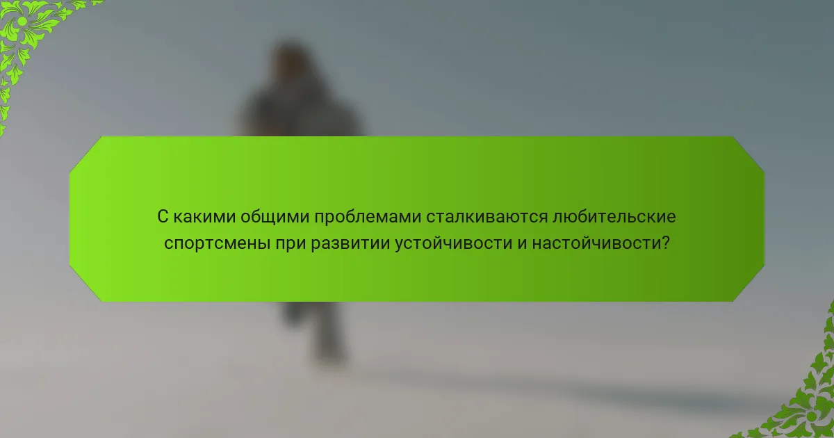 С какими общими проблемами сталкиваются любительские спортсмены при развитии устойчивости и настойчивости?